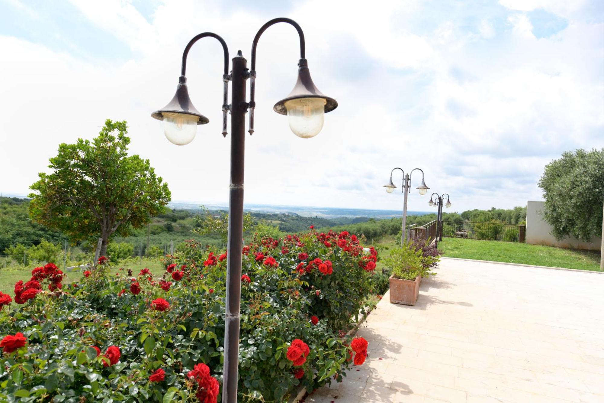 La Volpe E L'Uva Dimore มอนเตสกายิโอโซ ภายนอก รูปภาพ